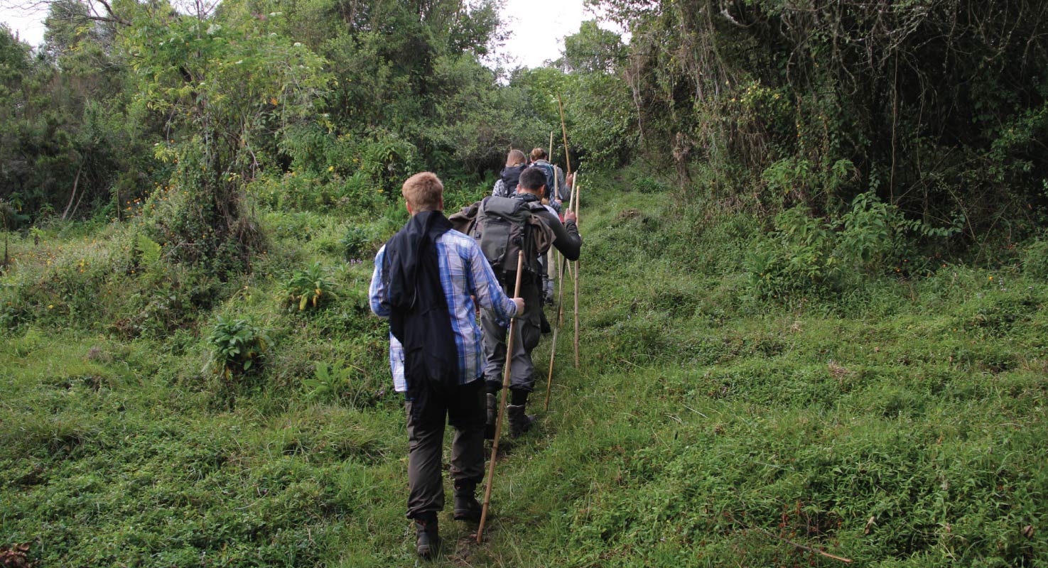 Hiking/Nature Walks in Kibale
