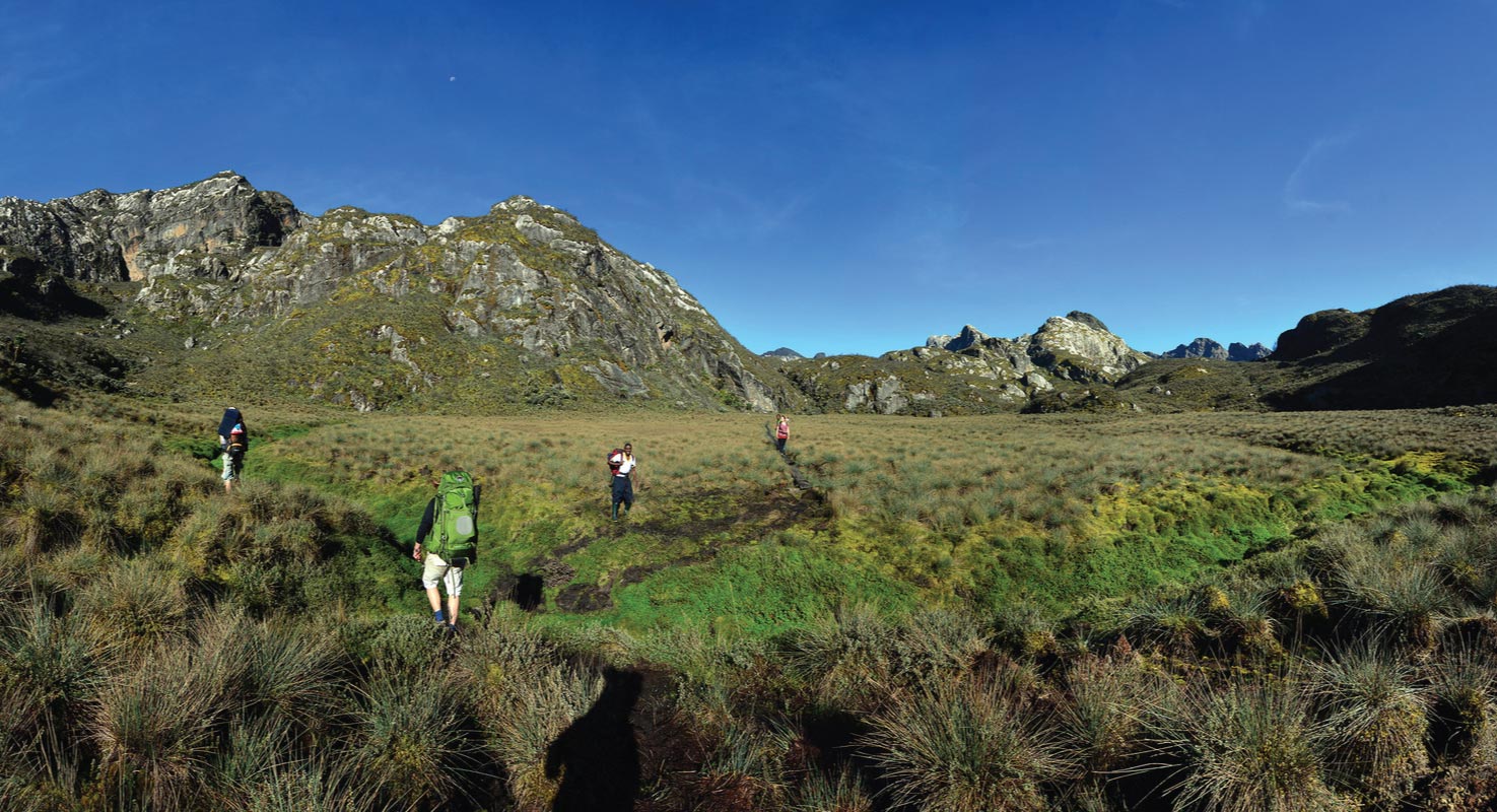 Hiking and Nature Walks in the Rwenzori Mountains