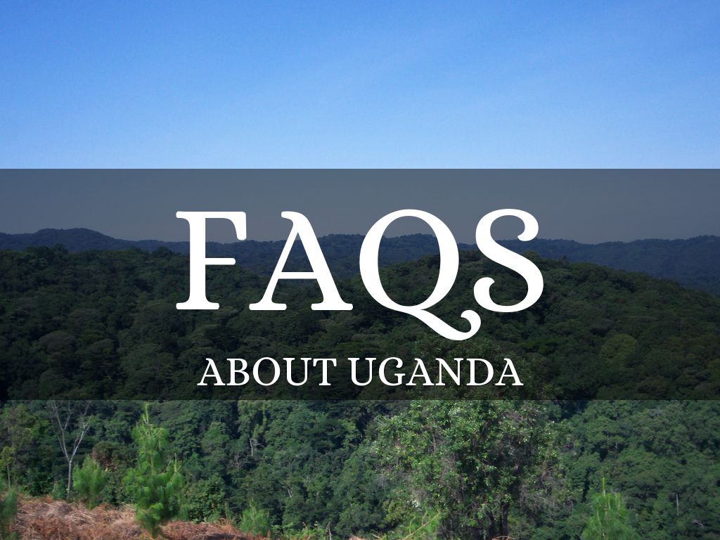 FAQs