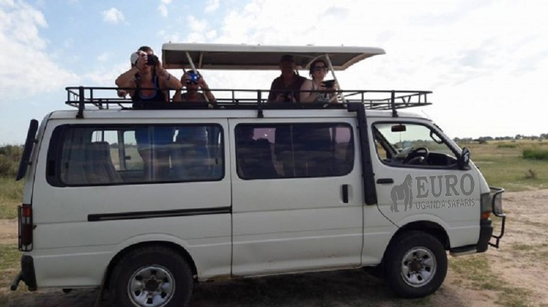 9 Day budget Rwanda Safari tour
