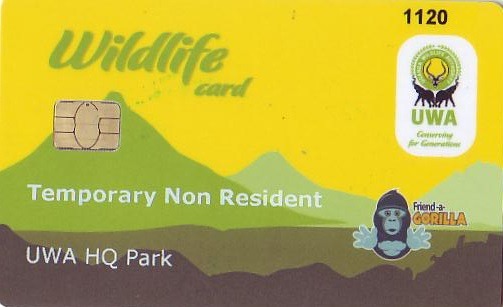 Where do I would buy Gorilla permits